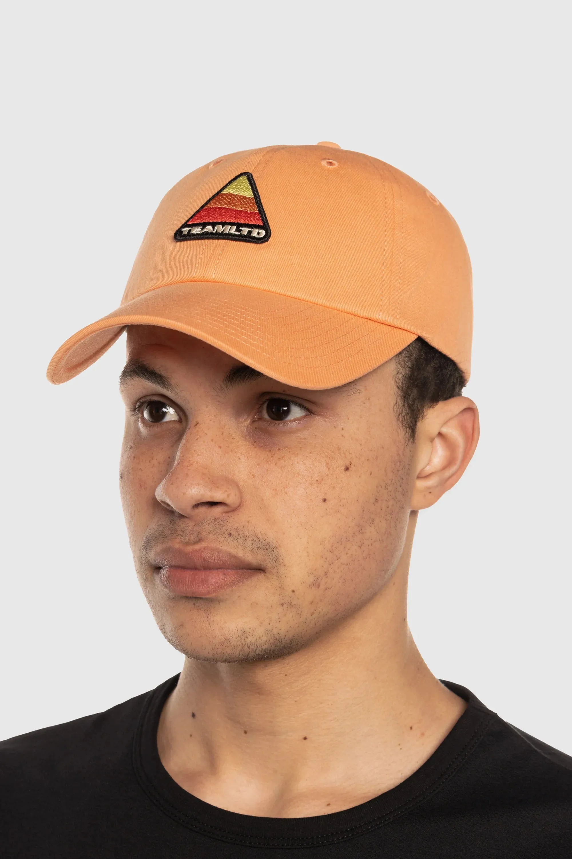 Prism Dad Hat